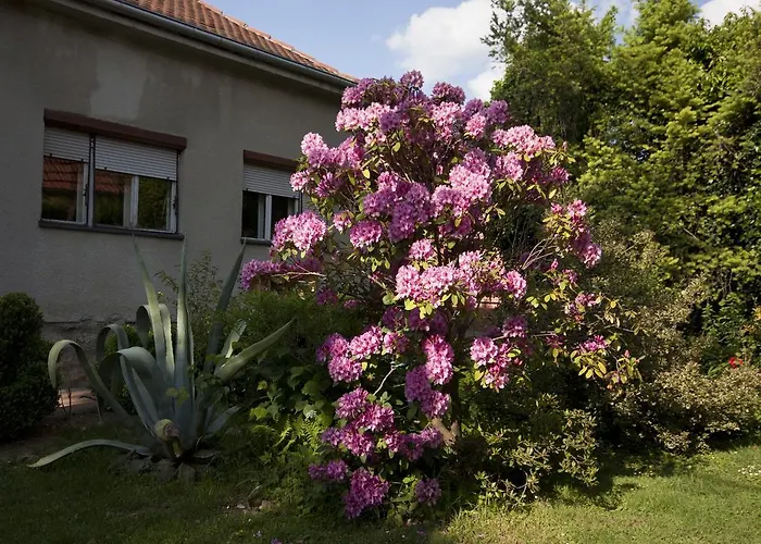 Guest House Kapetanova Kuca